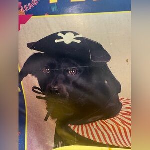New Pirate costume for small dog or cat.  Collar and hat.